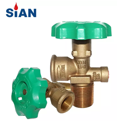 V&aacute;lvula policial