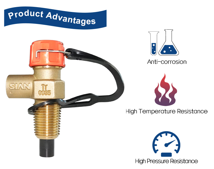 D21 V&aacute;lvula compacta (4)