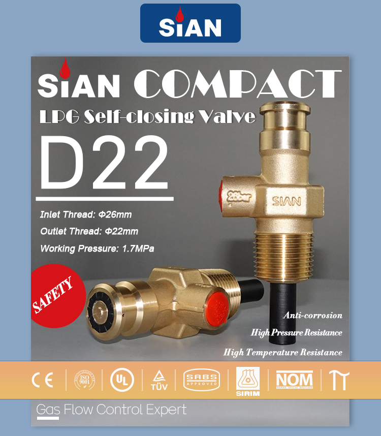 V&aacute;lvulas compactas de GLP (2)