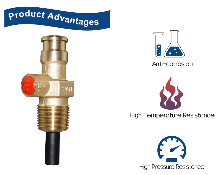 V&aacute;lvulas compactas de GLP (4)