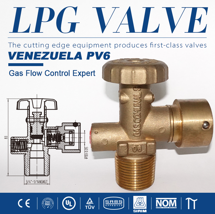 GLP Venezuela Standard Inflle Head Valve Pv6 (6)